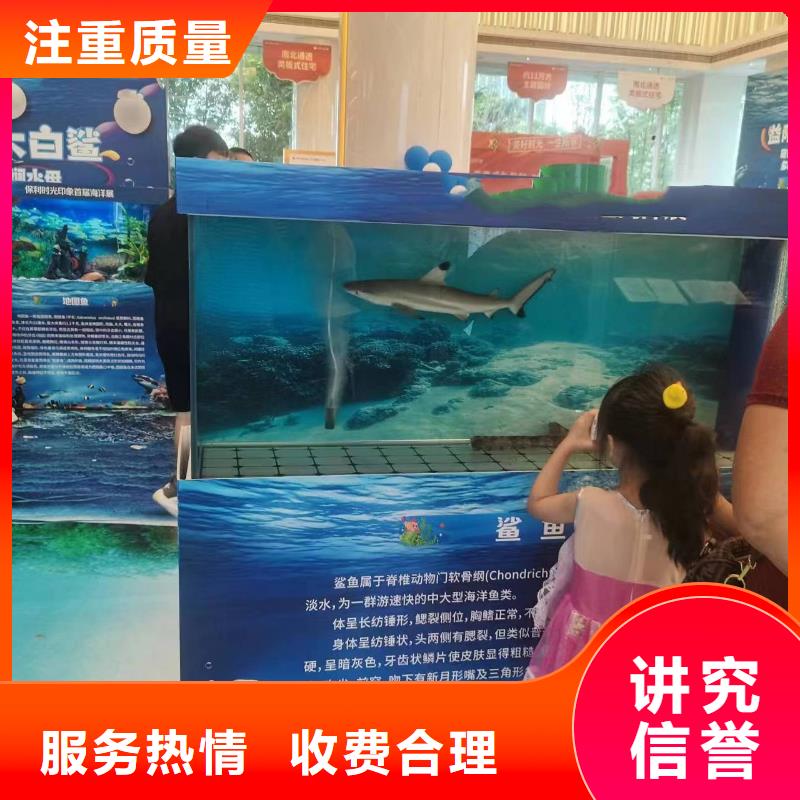 企鹅出租