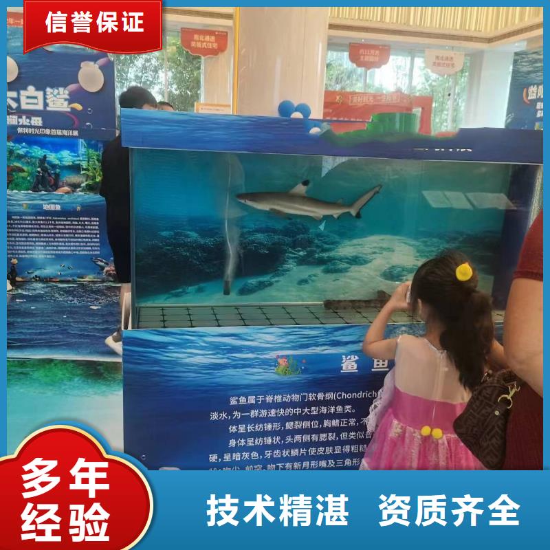 海洋主题动物表演【美人鱼表演出租】好评度高
