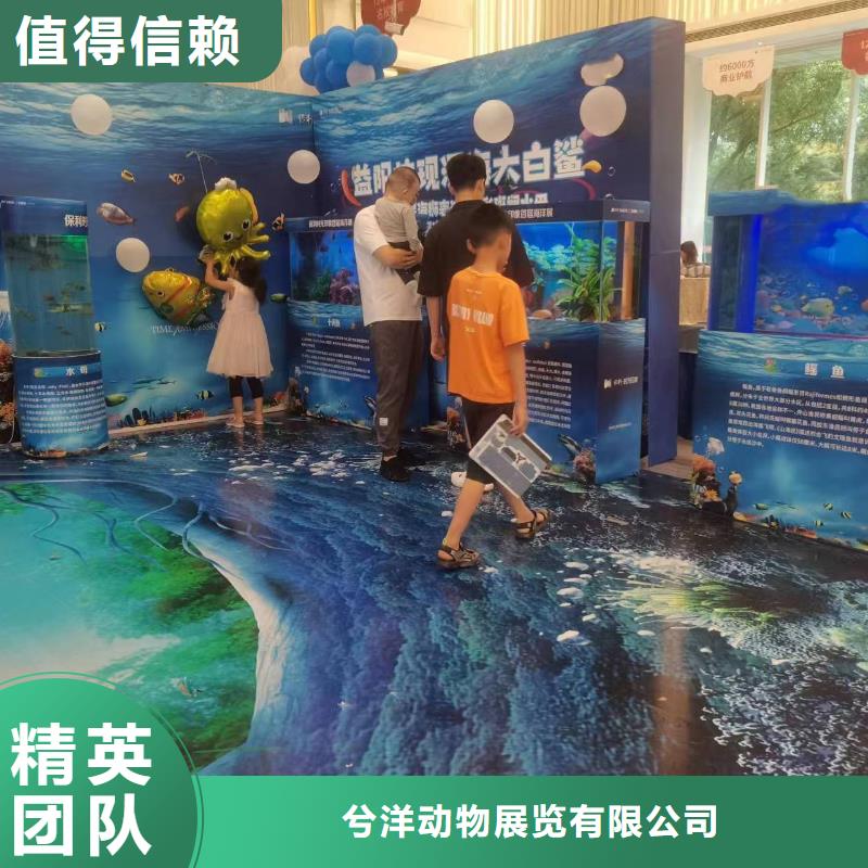 海洋主题动物表演杂耍演出诚信放心