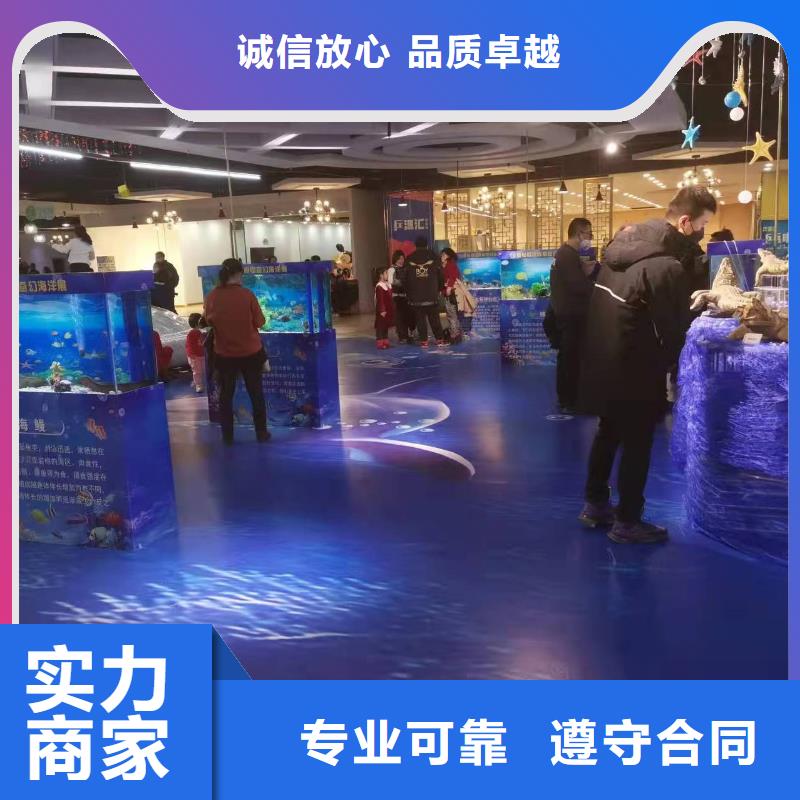 海洋主题动物表演鹦鹉表演正规公司