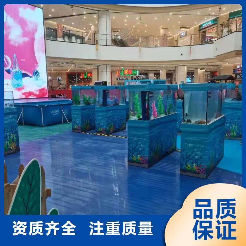 哪有出租企鹅的公司
