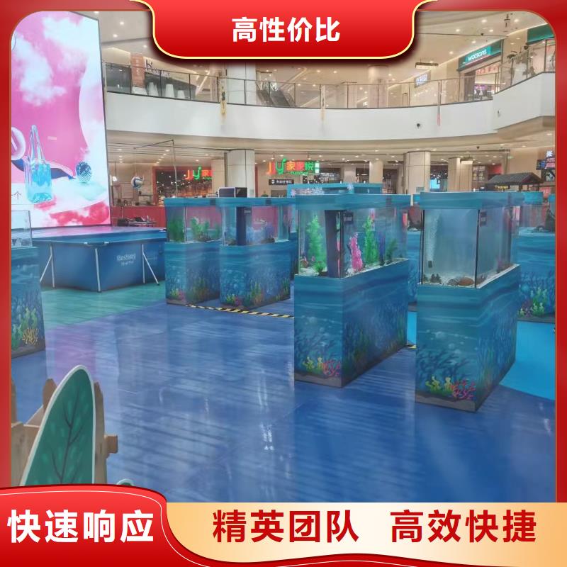 海洋主题动物表演萌宠动物展出租实力团队