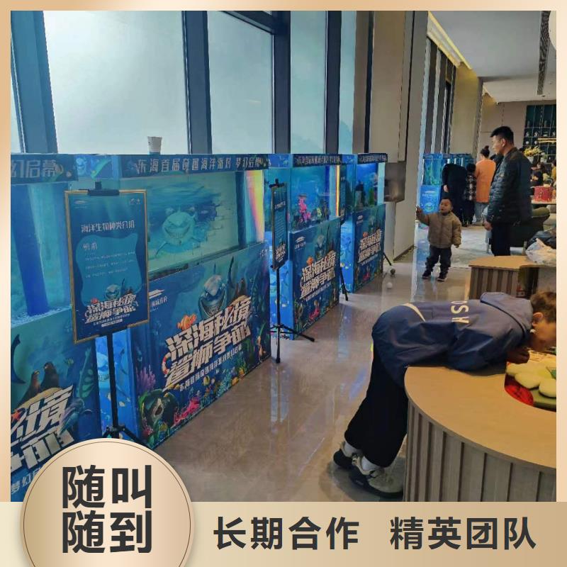 海洋主题动物表演出租表演羊驼放心