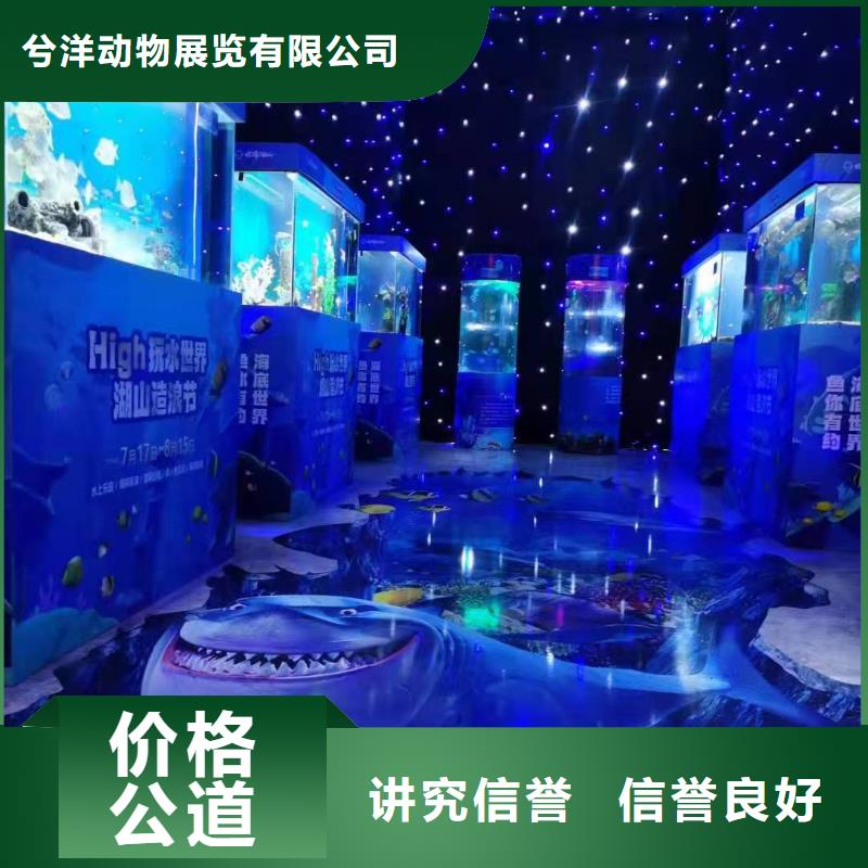 海洋生物鱼缸展出租全国承接