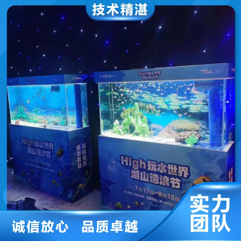 海洋主题动物表演【美人鱼表演出租】好评度高