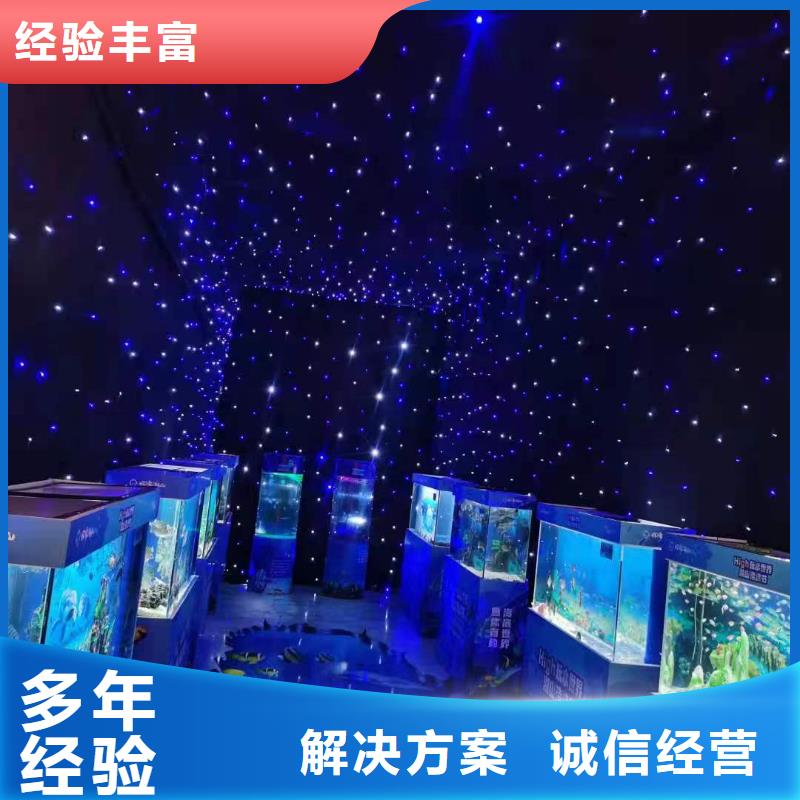 海洋主题动物表演海豚表演