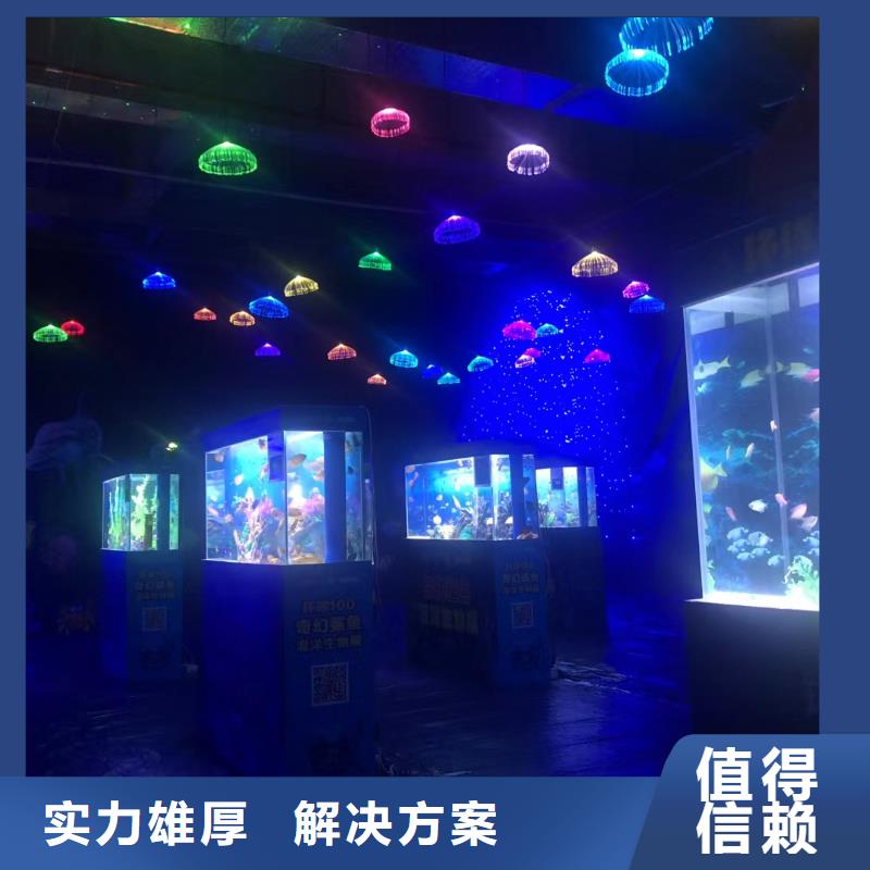 【海洋主题动物表演】企鹅出租先进的技术