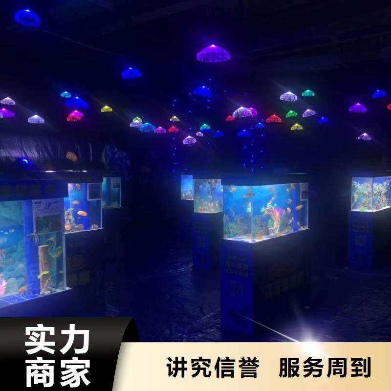 哪有出租企鹅的公司