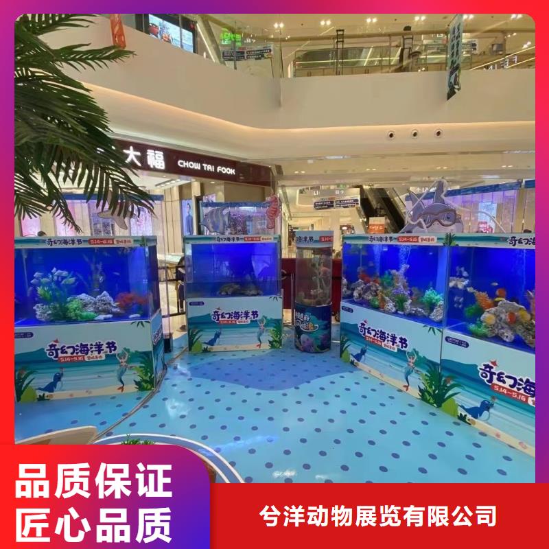 美人鱼表演出租