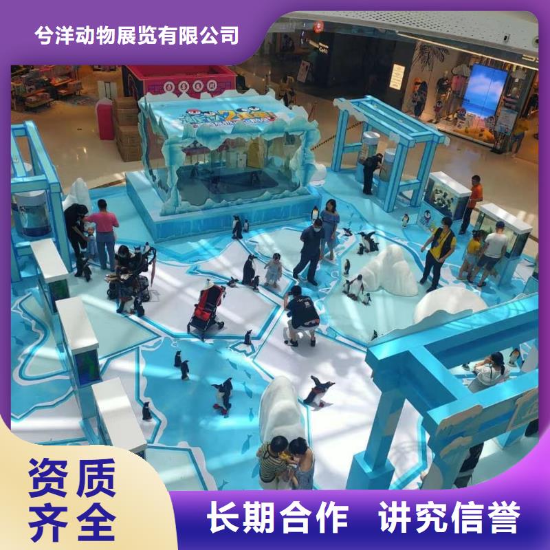 企鹅租赁公司