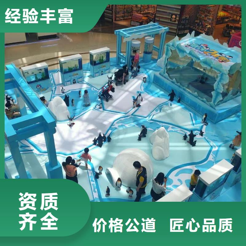 【海洋主题动物表演】羊驼出租高品质