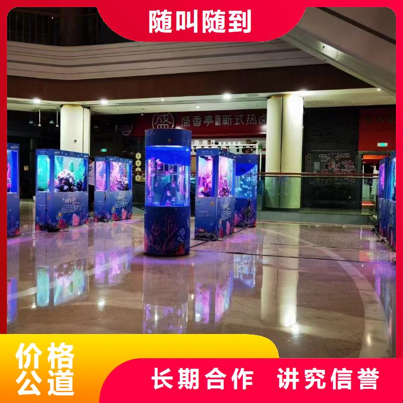 哪有出租鳄鱼表演的活跃气氛
