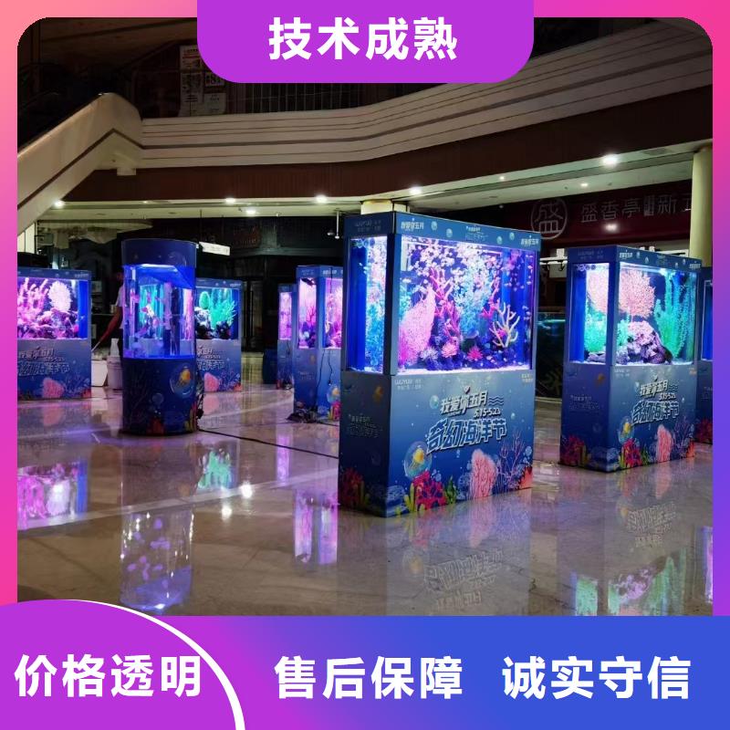 哪里有出租海狮表演的暖场气氛
