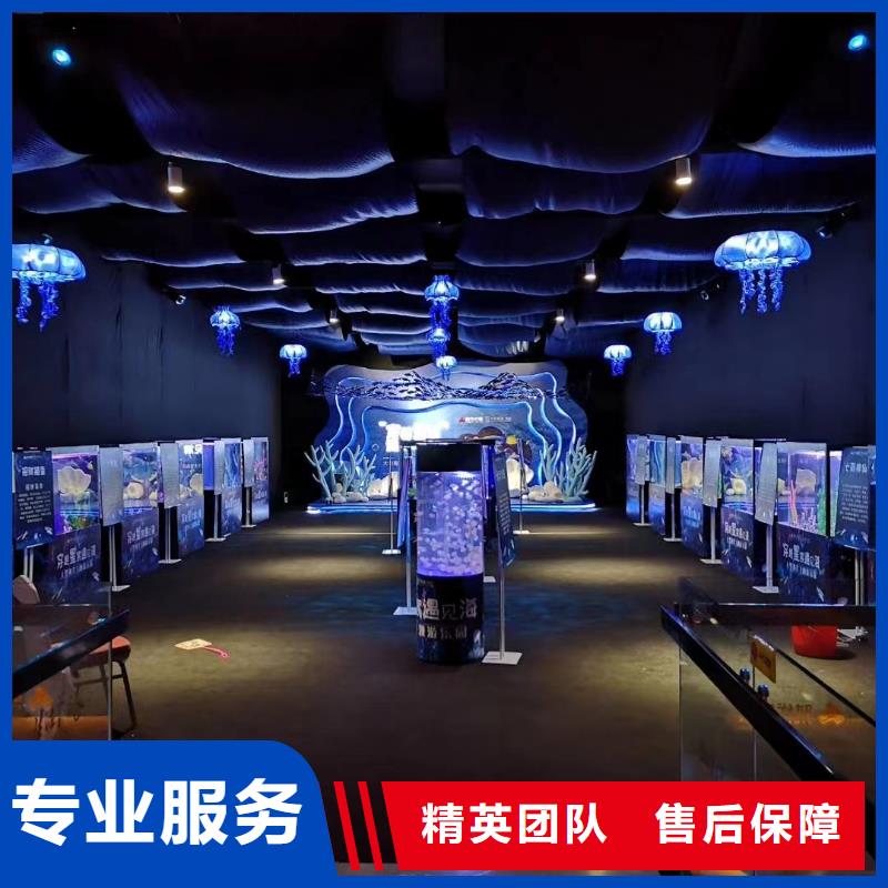 【海洋主题动物表演】羊驼出租高品质