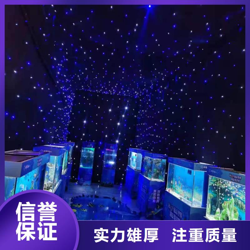 哪有出租海狮表演的厂家规格齐全