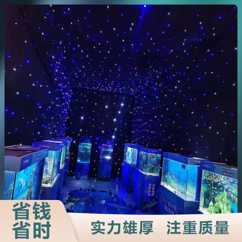企鹅展览暖场活动