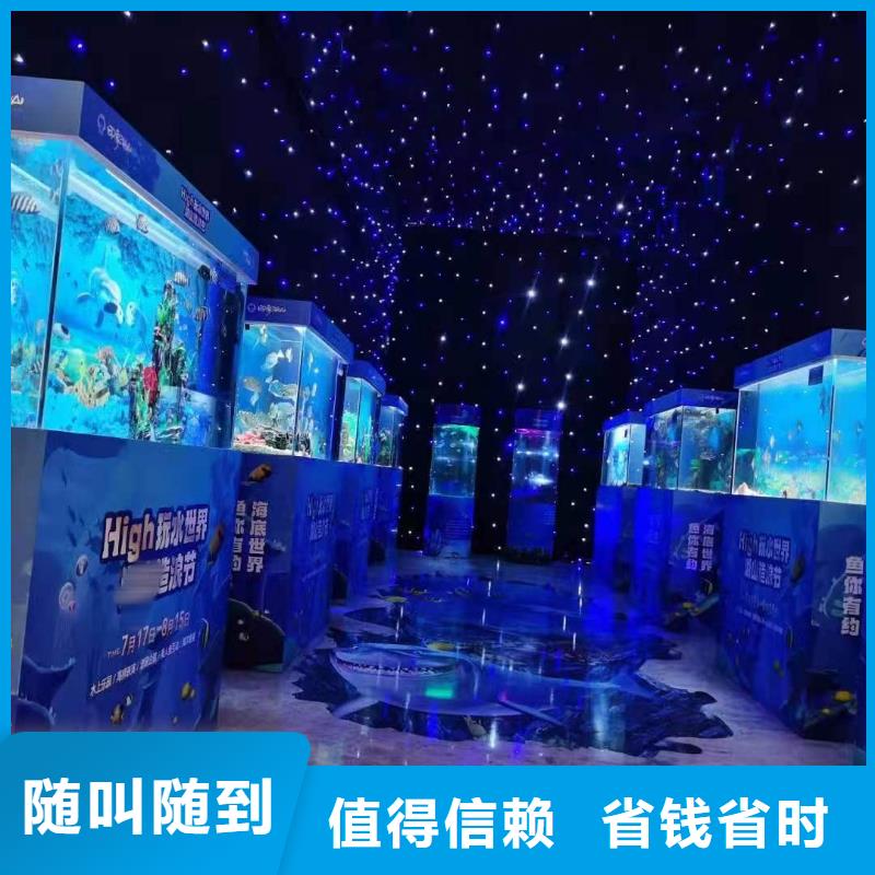 海洋主题动物表演_动物表演齐全