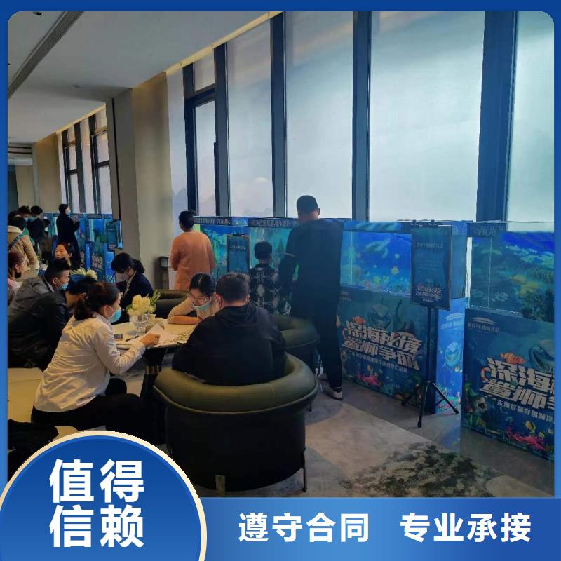 出租企鹅哪里有