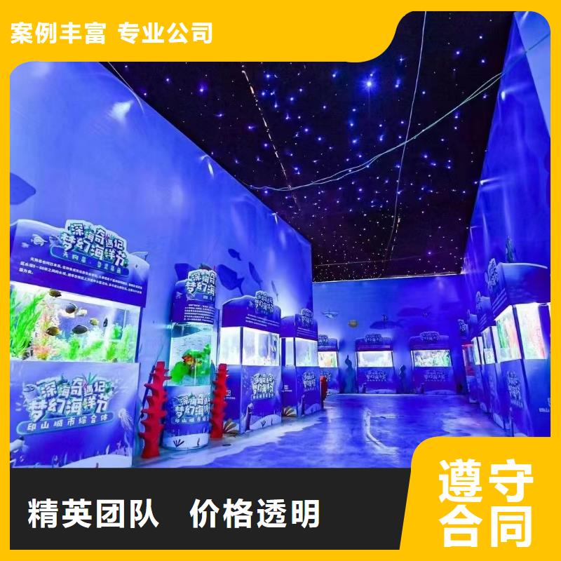 企鹅租赁活跃气氛