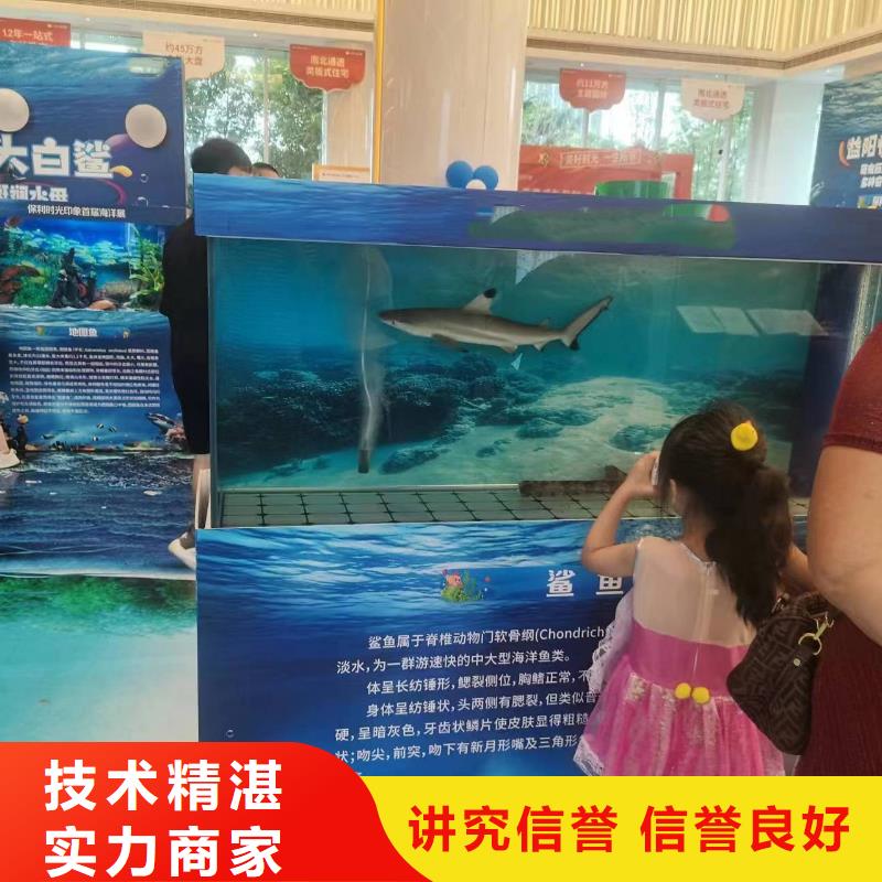 哪有出租海狮的活跃气氛