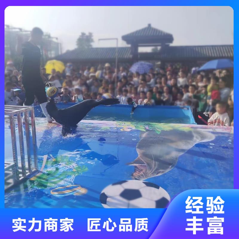 企鹅租赁活跃气氛