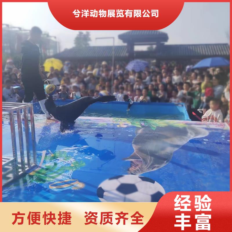 海洋生物展出租公司一手资源