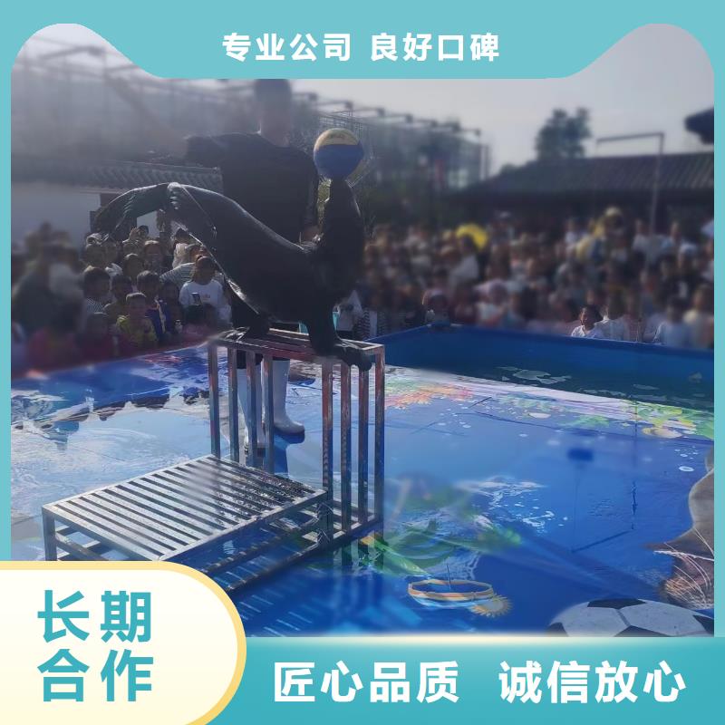 海洋生物展出租公司活动方案