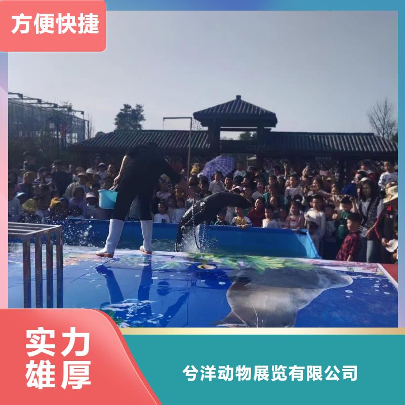 海洋展出租价格欢迎来电