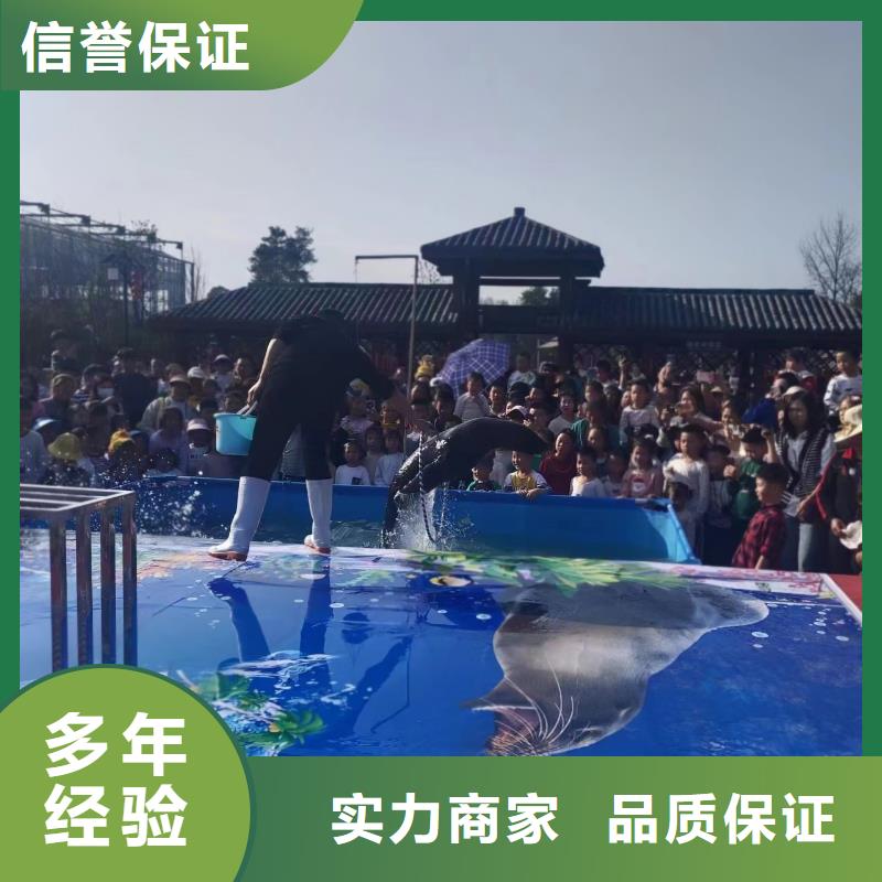 【海洋主题动物表演】_鹦鹉表演出租实力商家