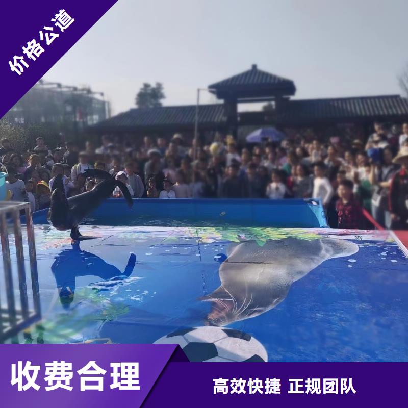 海洋主题动物表演【美人鱼表演出租】好评度高
