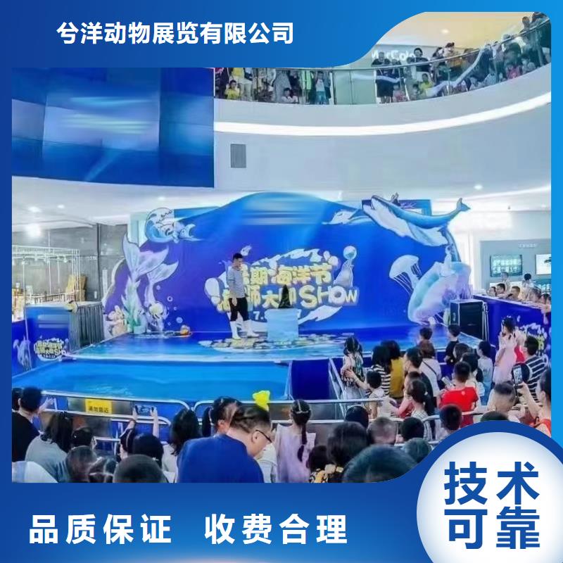 出租企鹅哪里有