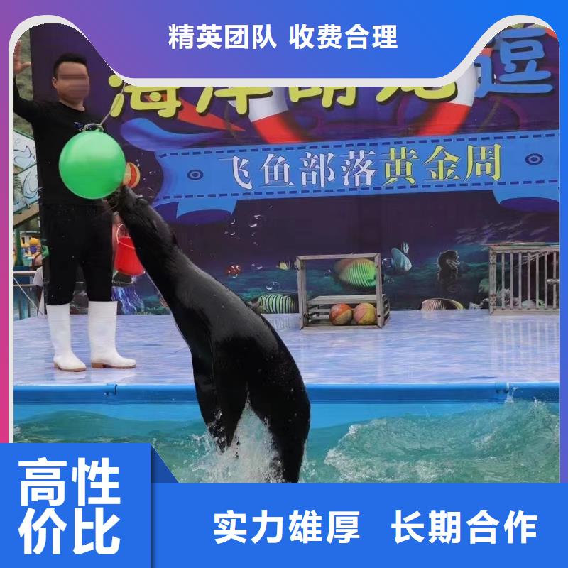 【海洋主题动物表演_企鹅出租表演多家服务案例】