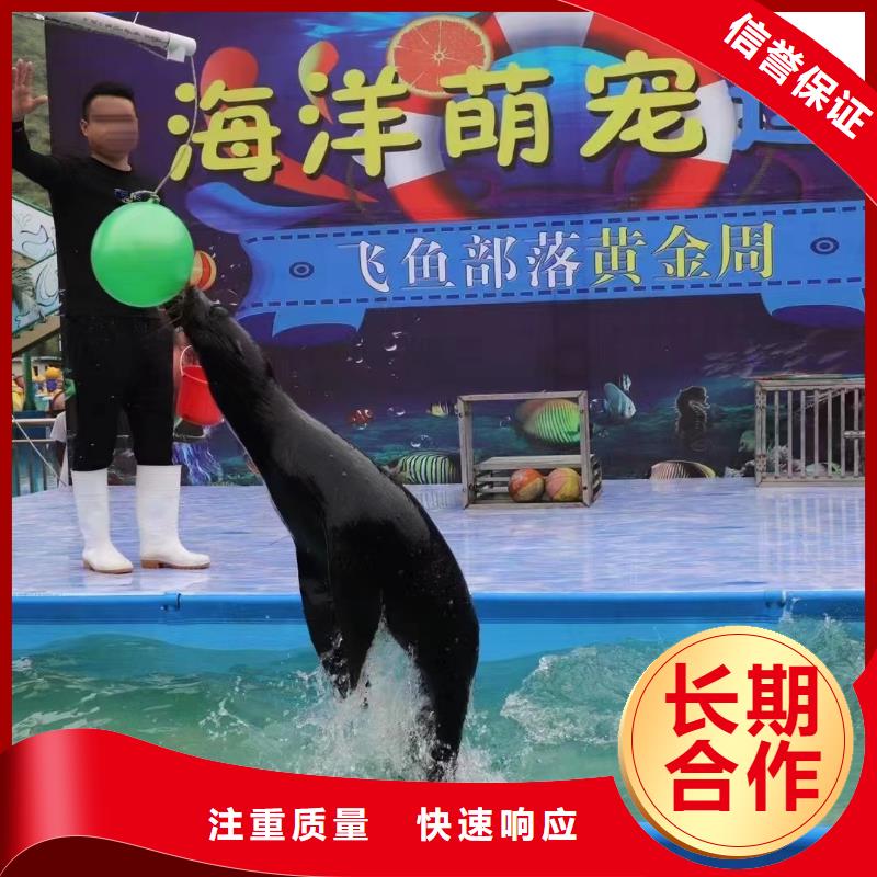 美人鱼表演出租一手资源