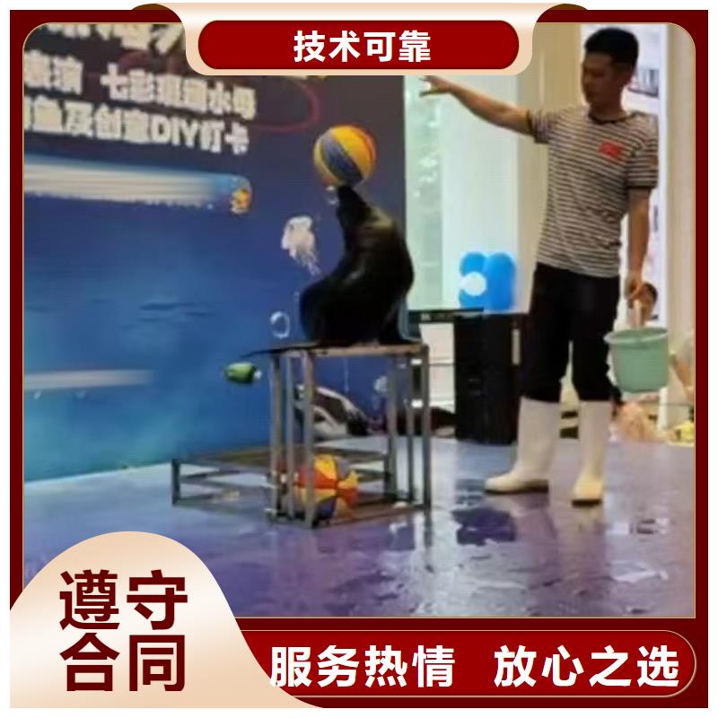 哪里有出租海狮表演的暖场气氛