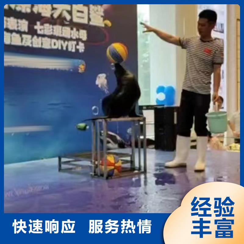 海洋主题动物表演鹦鹉表演正规公司