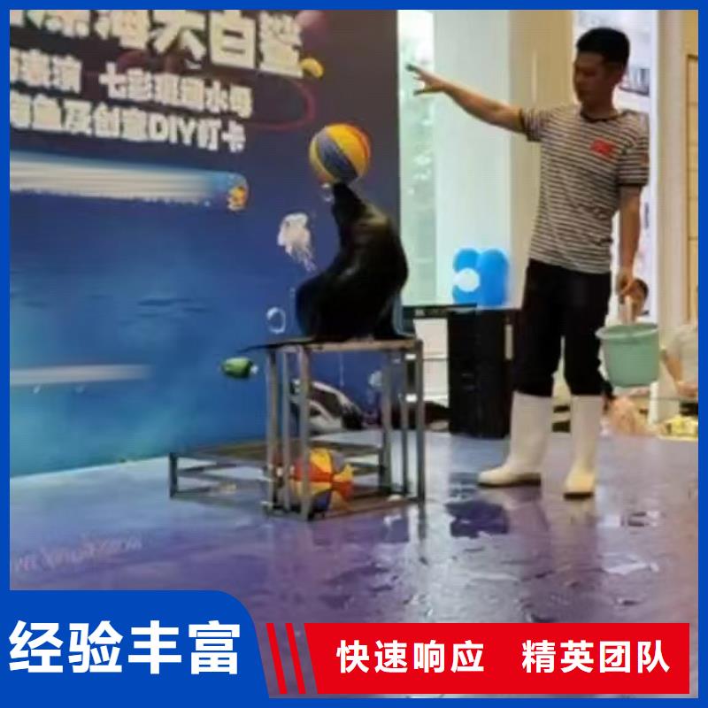海洋主题动物表演_动物表演齐全