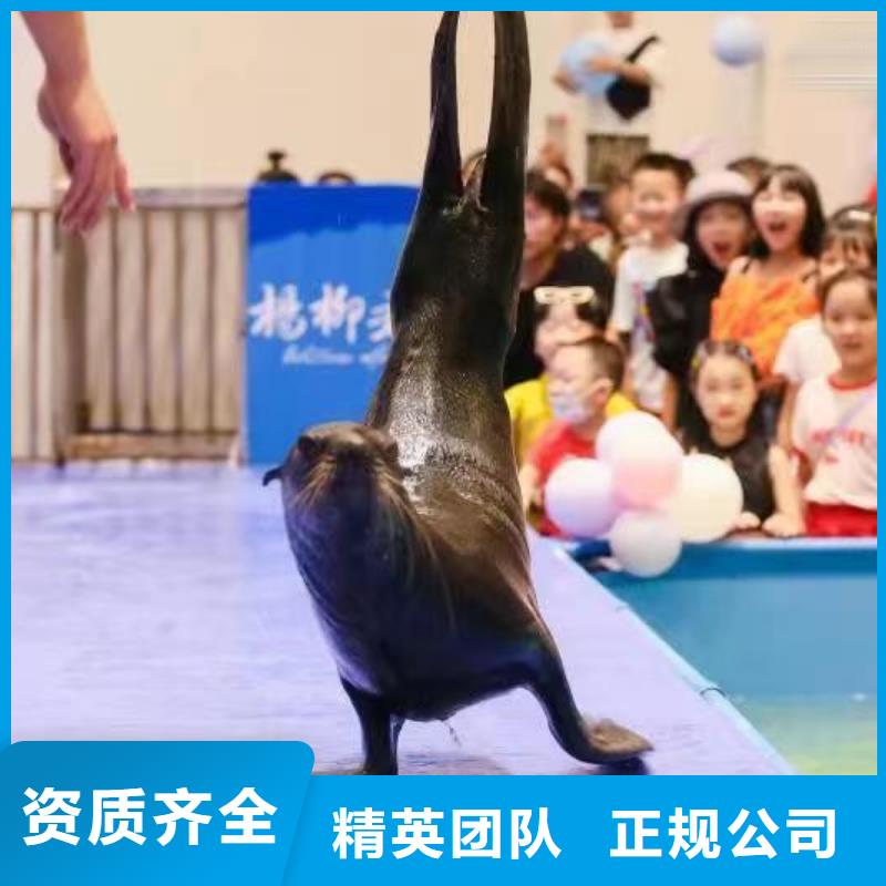 美人鱼表演出租一手资源