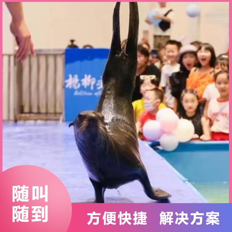 租赁美人鱼表演免费资源