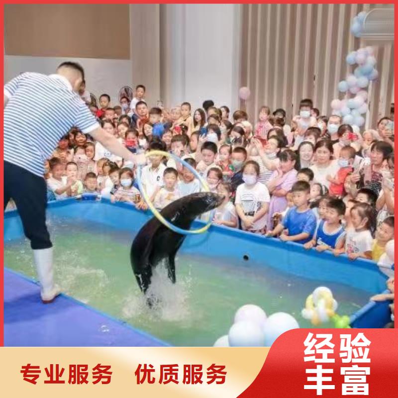 哪里有出租海狮表演的免费资源