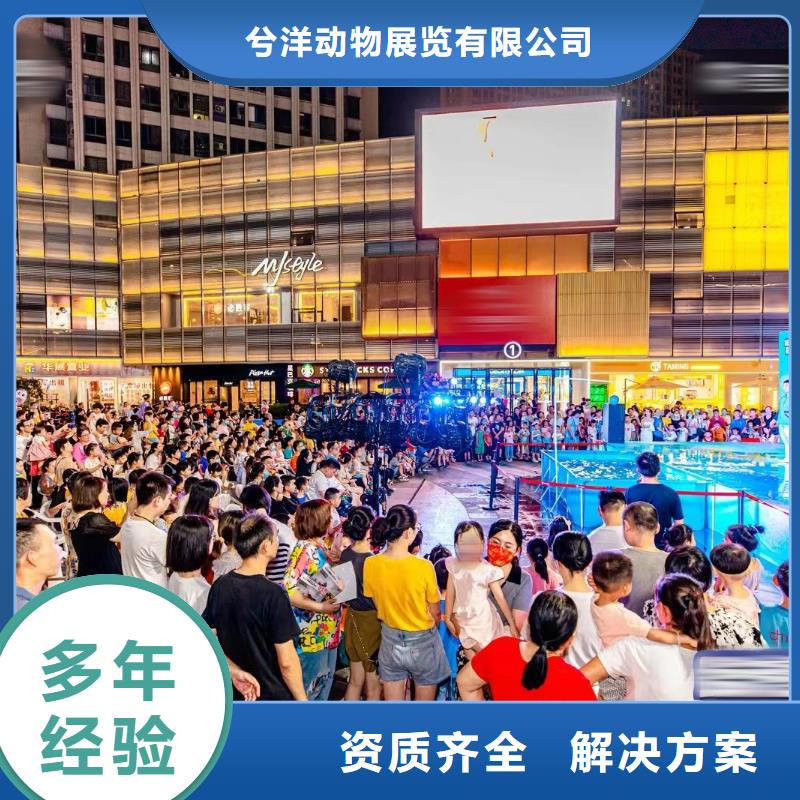 海洋主题动物表演_动物表演齐全