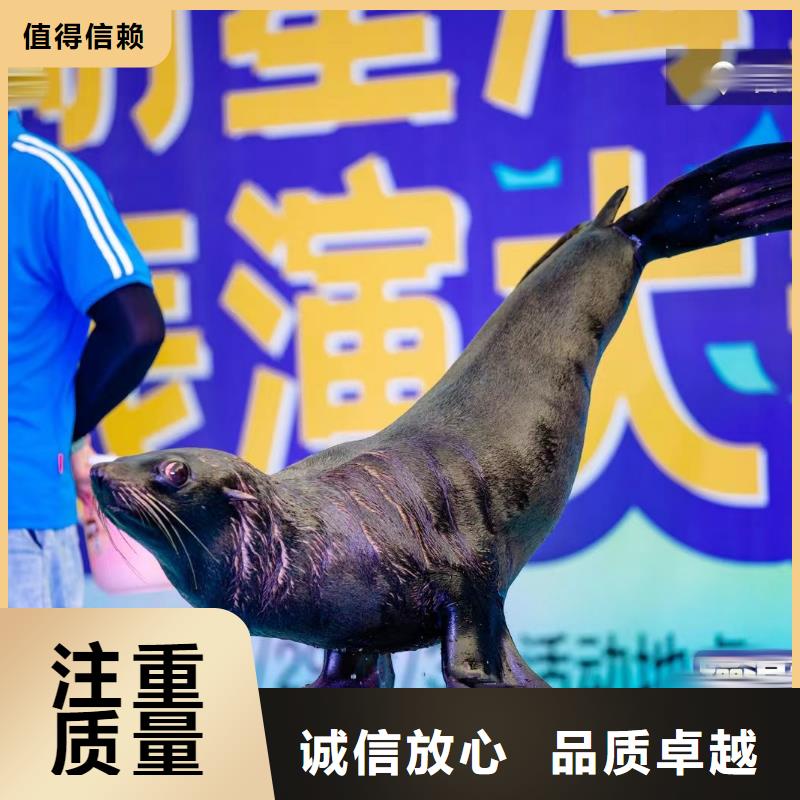 企鹅租赁