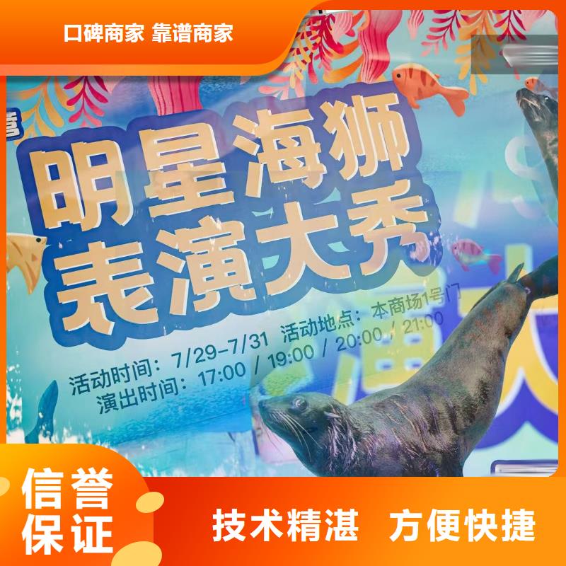 【海洋主题动物表演出租羊驼快速响应】