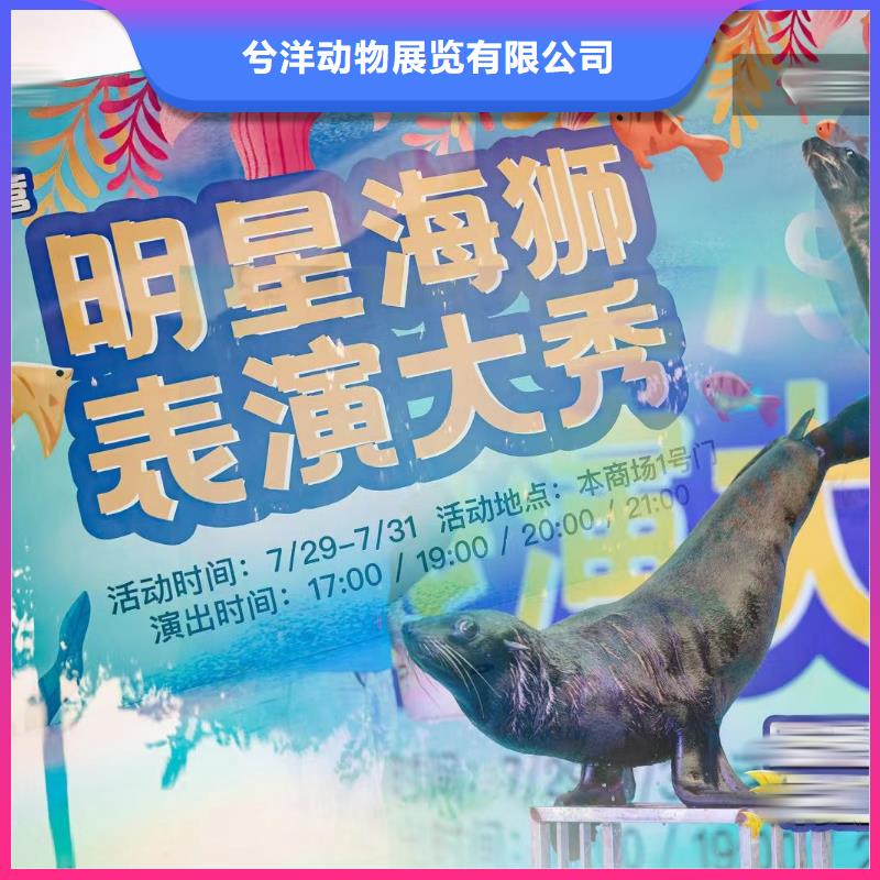 海洋生物展出租活跃气氛