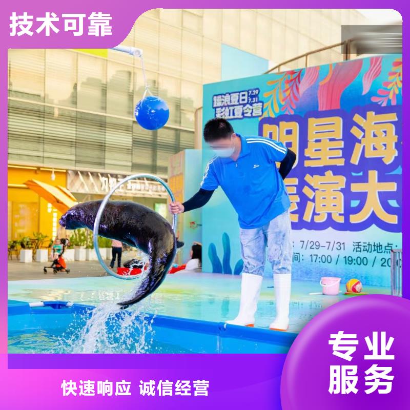 【海洋主题动物表演】企鹅出租先进的技术