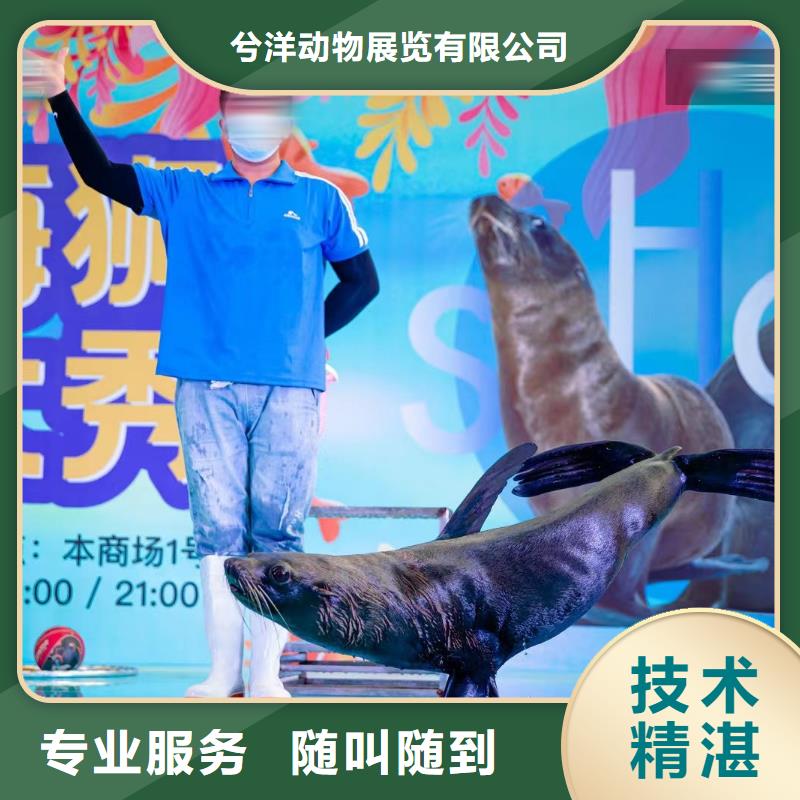 美人鱼表演租赁价格