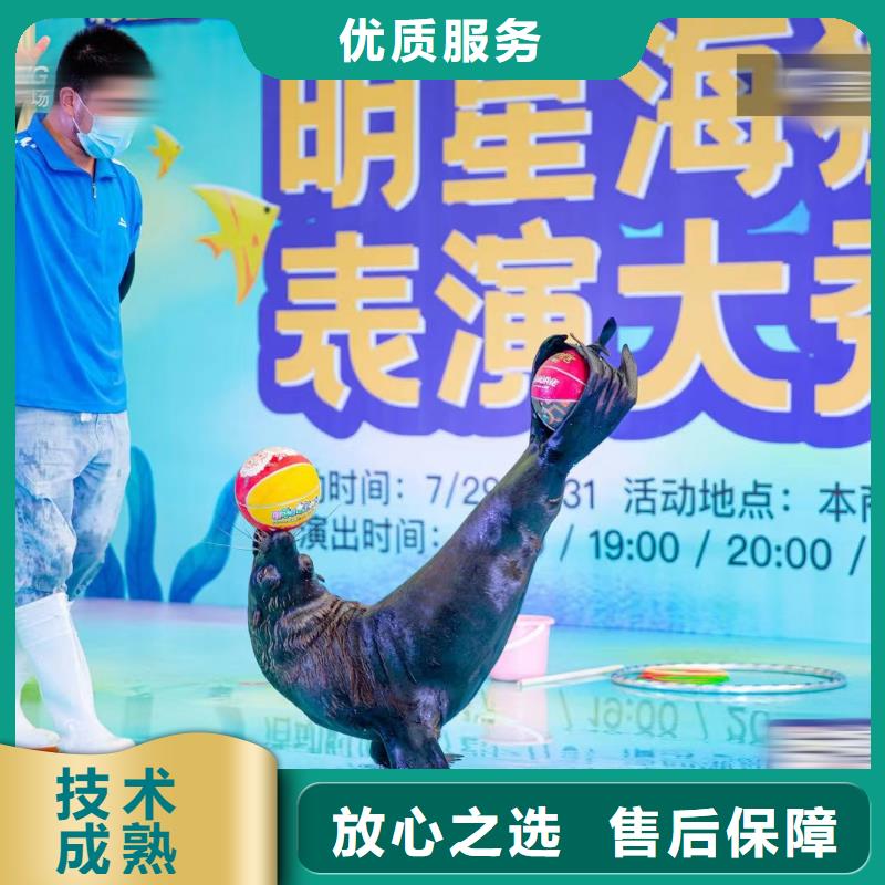 海洋主题动物表演小马戏出租品质优
