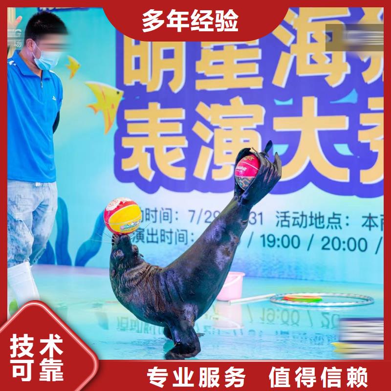 出租海洋生物展诚信厂家
