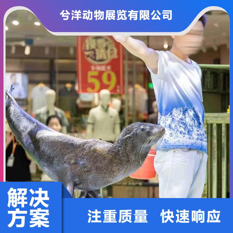 海洋生物展出租