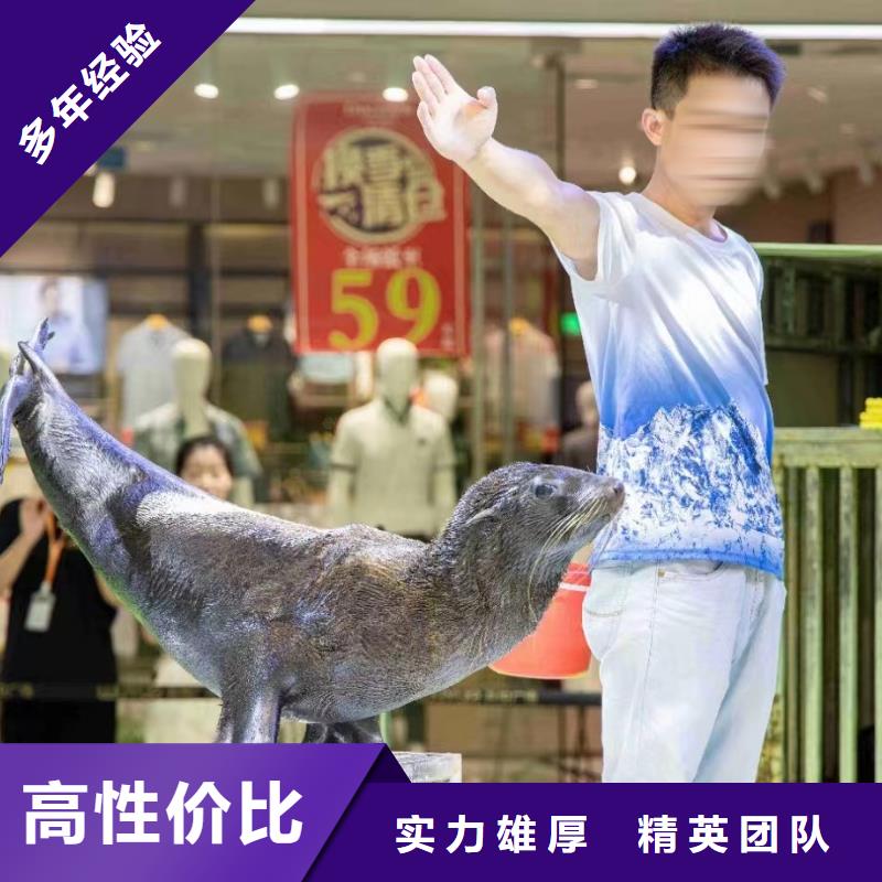 海洋生物展出租活动图片