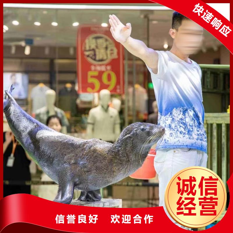 海洋主题动物表演【出租企鹅表演】注重质量